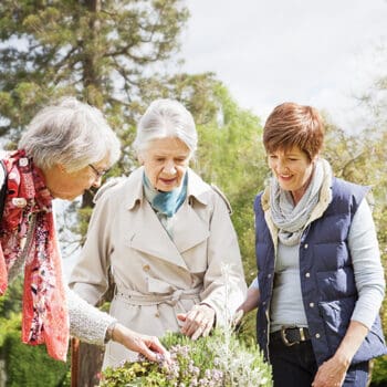 dementia diagnosis received by elderly mother