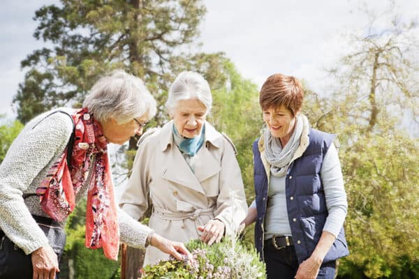 dementia diagnosis received by elderly mother